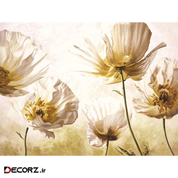 پوستر دیواری سه بعدی کد 14738202