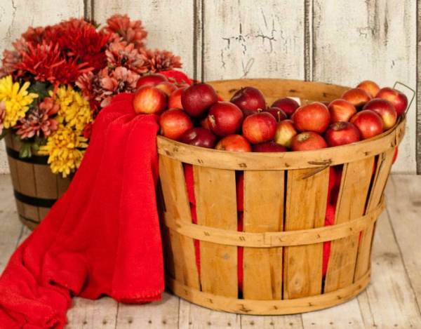 تزیینات پاییزی منزل