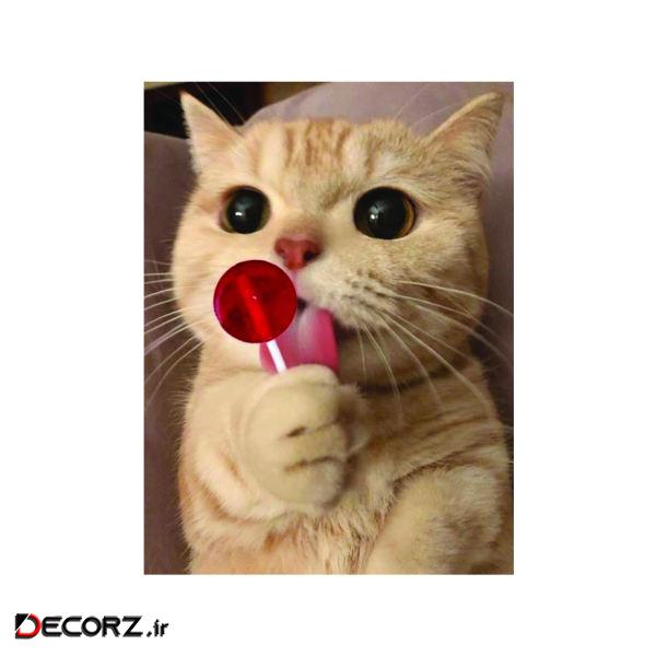 استیکر مدل funny کد 2714