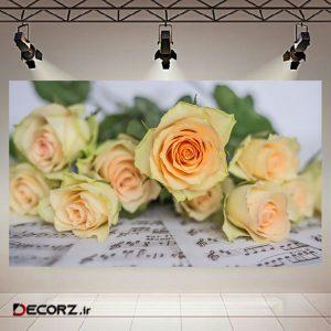 تابلو بوم مدل نت موسیقی و گل کد AR240