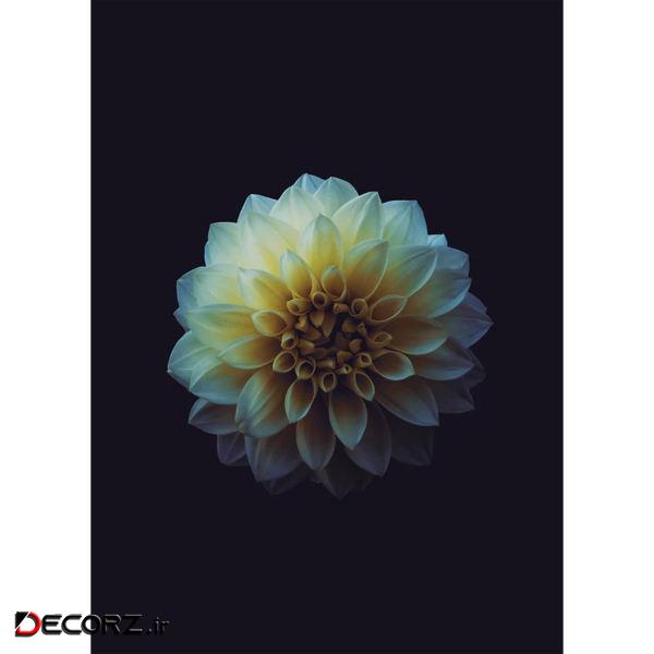 تابلو شاسی مدل کوکب تابلو شاسی مدل کوکب