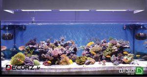 فوت و فن های داشتن آکواریوم در خانه! فوت و فن های داشتن آکواریوم در خانه!