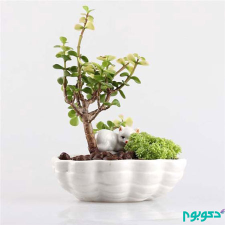 با این گلدان های کوچک طبیعت را به خانه بیاورید با این گلدان های کوچک طبیعت را به خانه بیاورید