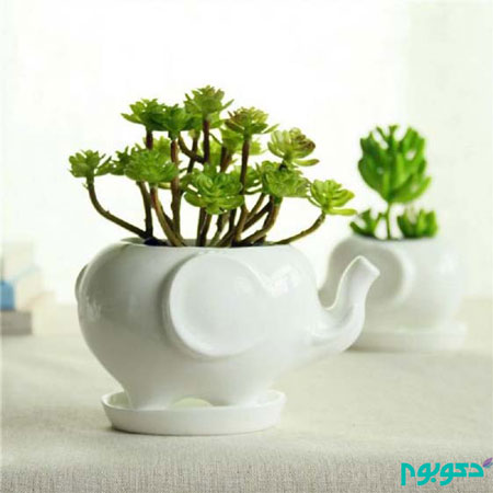 با این گلدان های کوچک طبیعت را به خانه بیاورید با این گلدان های کوچک طبیعت را به خانه بیاورید