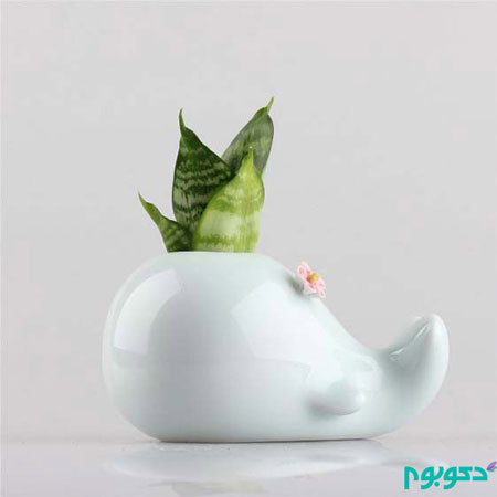 با این گلدان های کوچک طبیعت را به خانه بیاورید با این گلدان های کوچک طبیعت را به خانه بیاورید