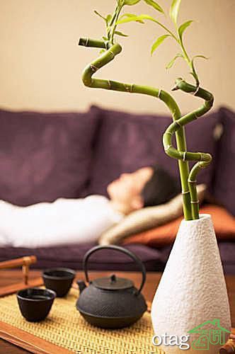 راهنمای ایجاد فضای ذن در هر نقطه از خانه شما
